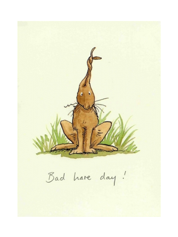 Bad hare day!